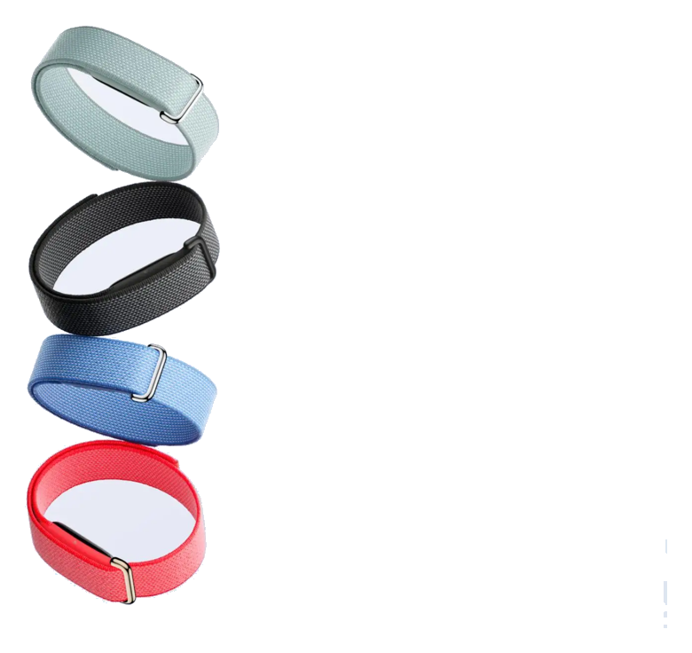 Google Fitbit Air
