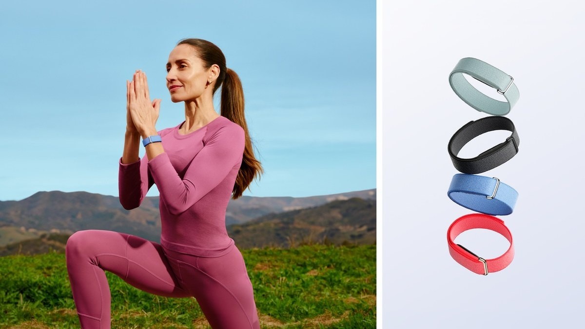 Fitbit Air in its four colors (Image: Google)